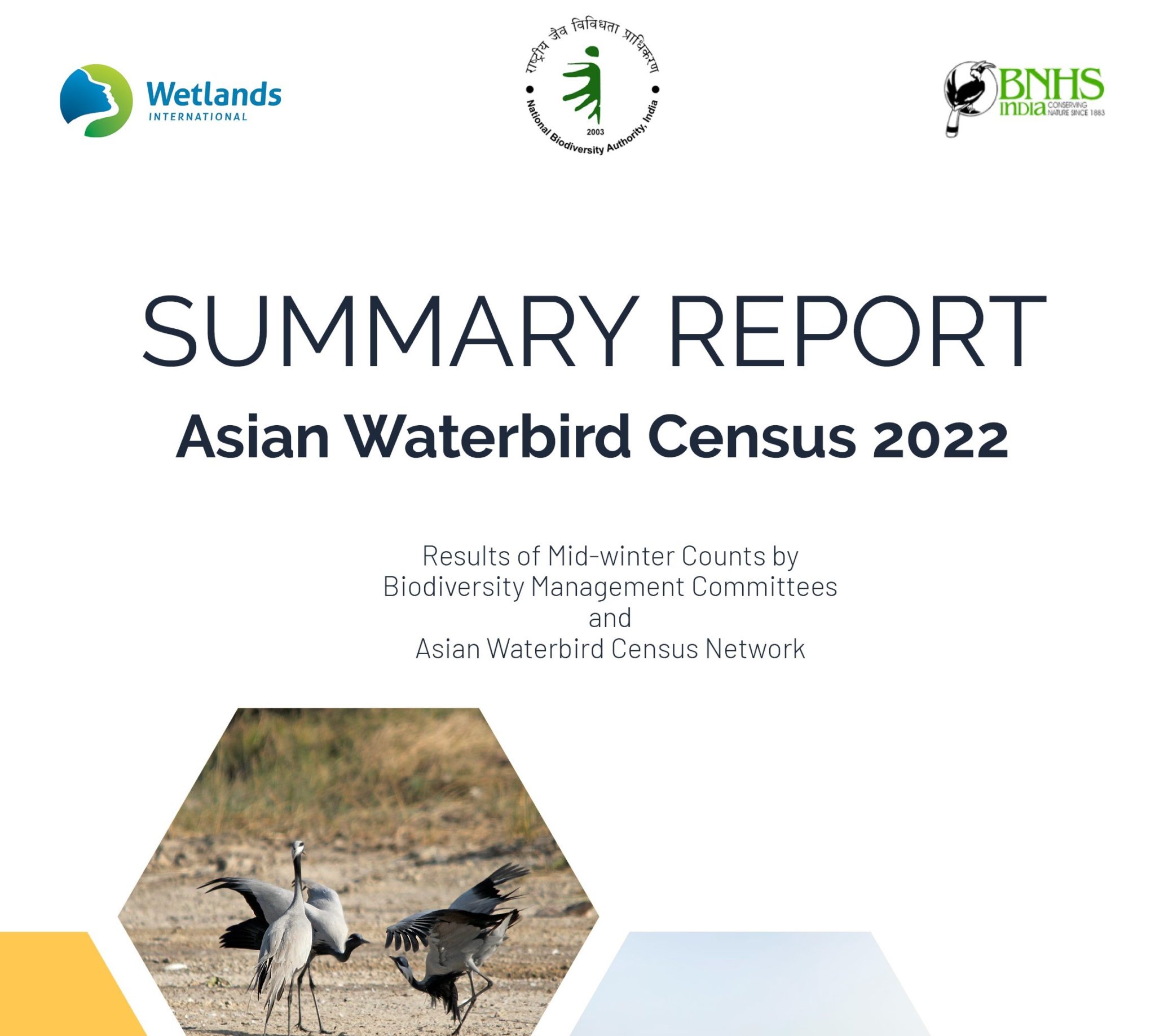 Summary Report on Asian Waterbird Census 2022 released marking World