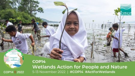 Find Wetlands International South Asia At 14th Ramsar Conference Of ...