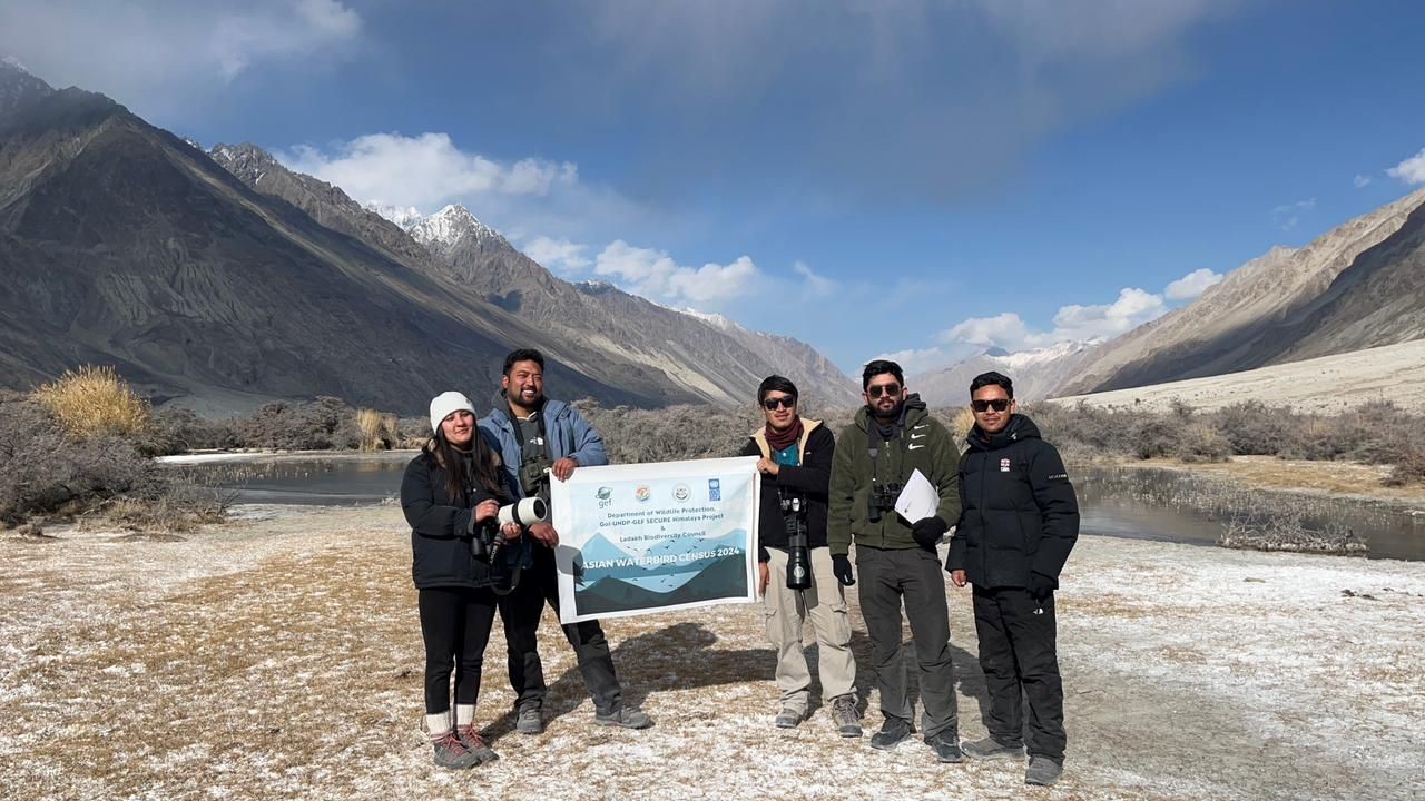 Asian Waterbird Census 2024 Wetlands International SouthAsia